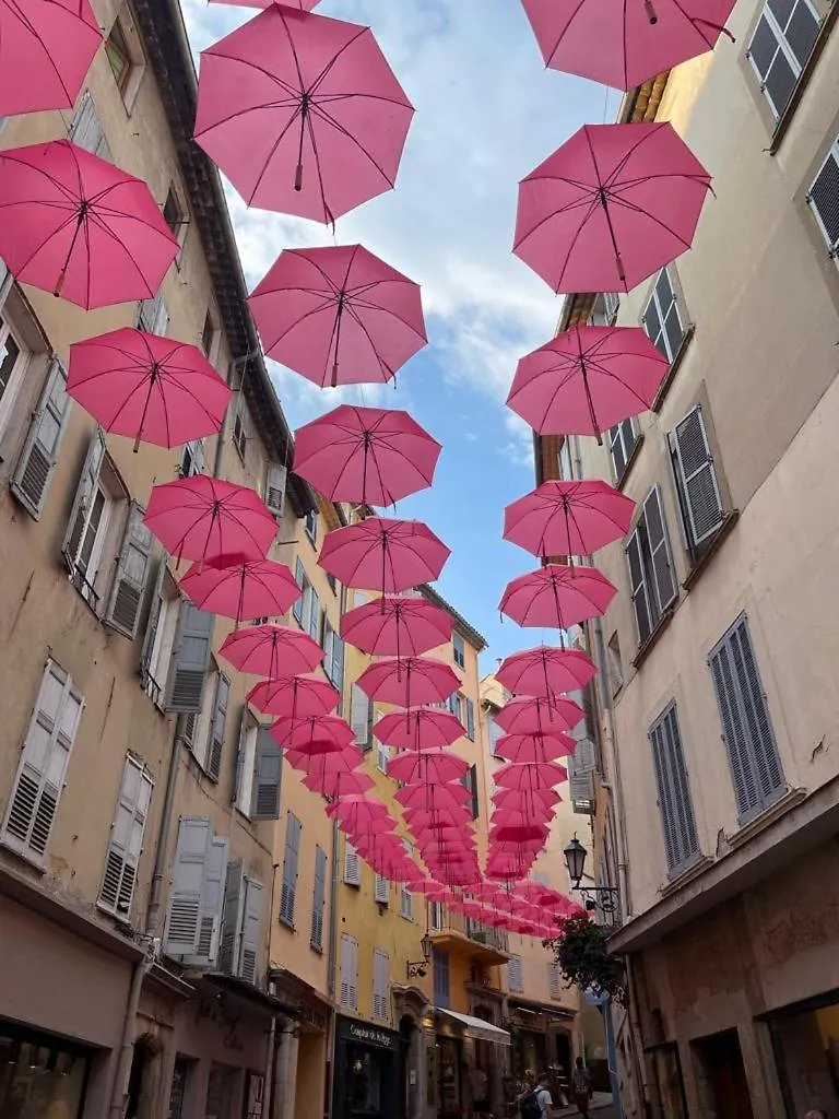 La Maison Aux Oliviers Grasse 0*,