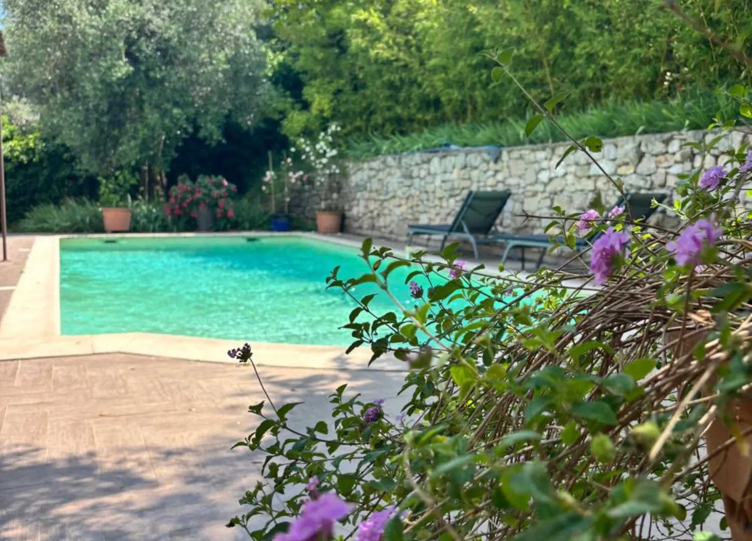 Сasa de vacaciones La Maison Aux Oliviers Grasse