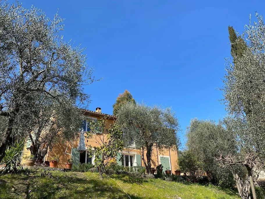 Rez De Jardin De Villa Avec Terrain Et Piscine Grasse